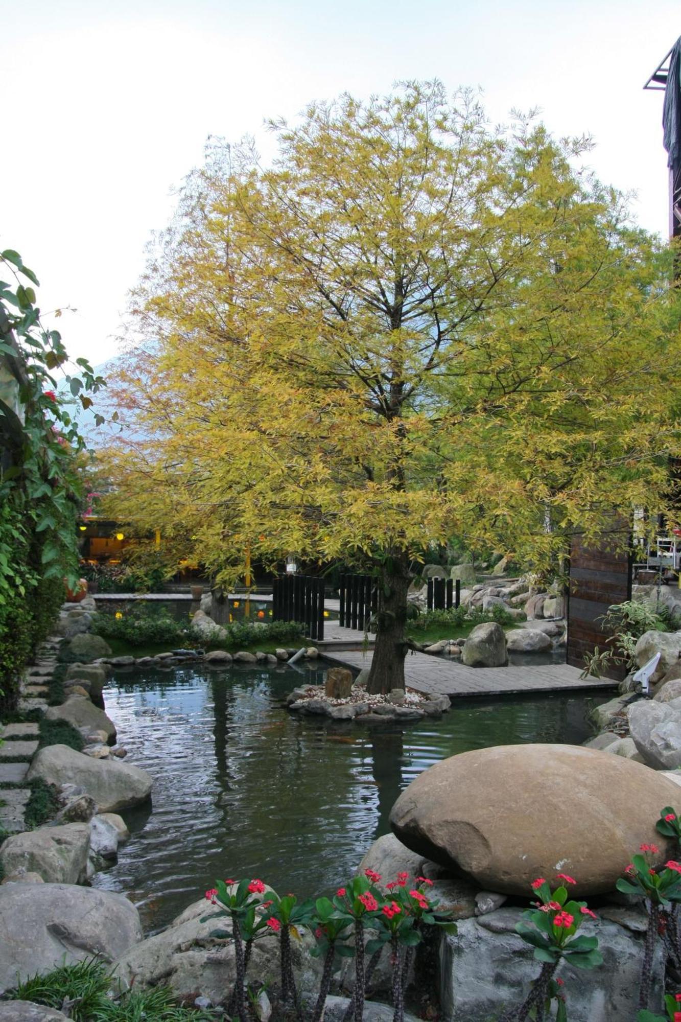 Tai-Yi Red Maple Resort Puli Esterno foto